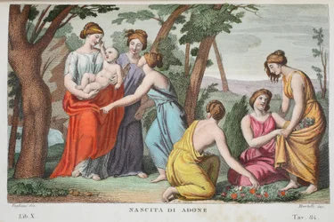 De geboorte van Adonis of Nascita di Adone, Boek X, illustratie uit Ovidius